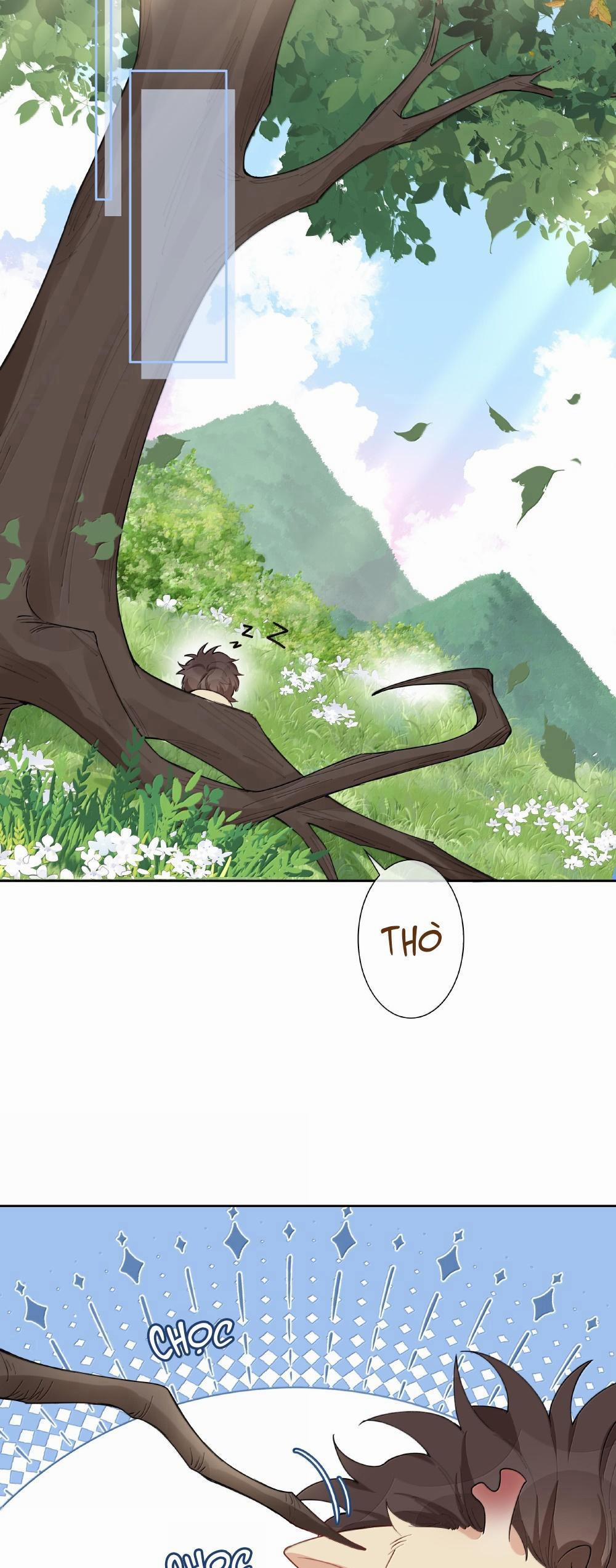 Trường Cấp Ba Sơn Hải 101 trang 14