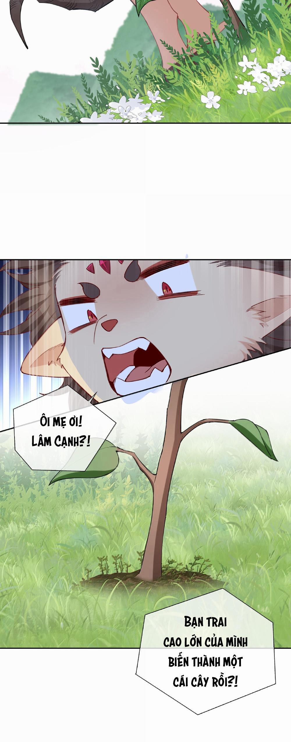 Trường Cấp Ba Sơn Hải 101 trang 17