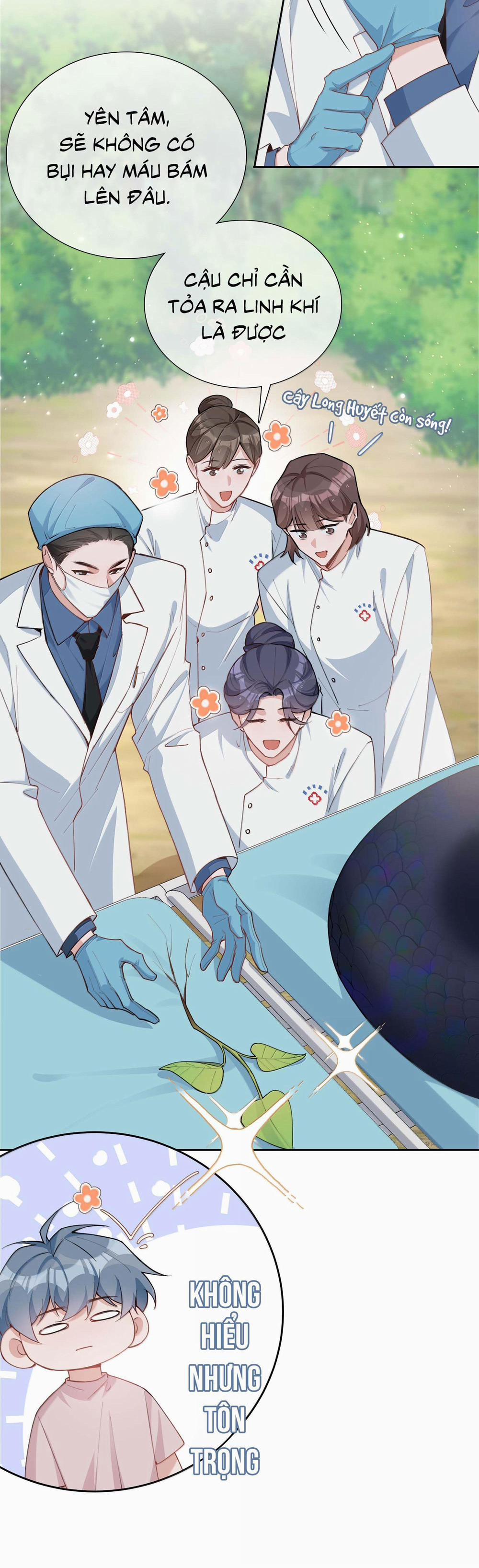 Trường Cấp Ba Sơn Hải 106 trang 5