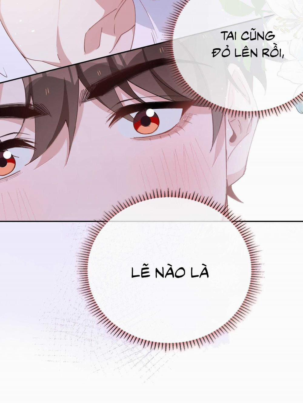 Trường Cấp Ba Sơn Hải 111 trang 15