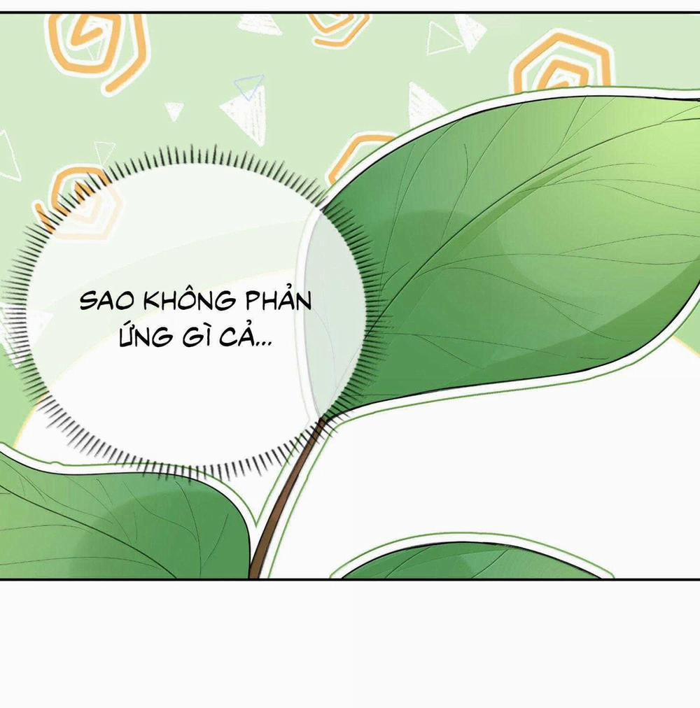 Trường Cấp Ba Sơn Hải 112 trang 14