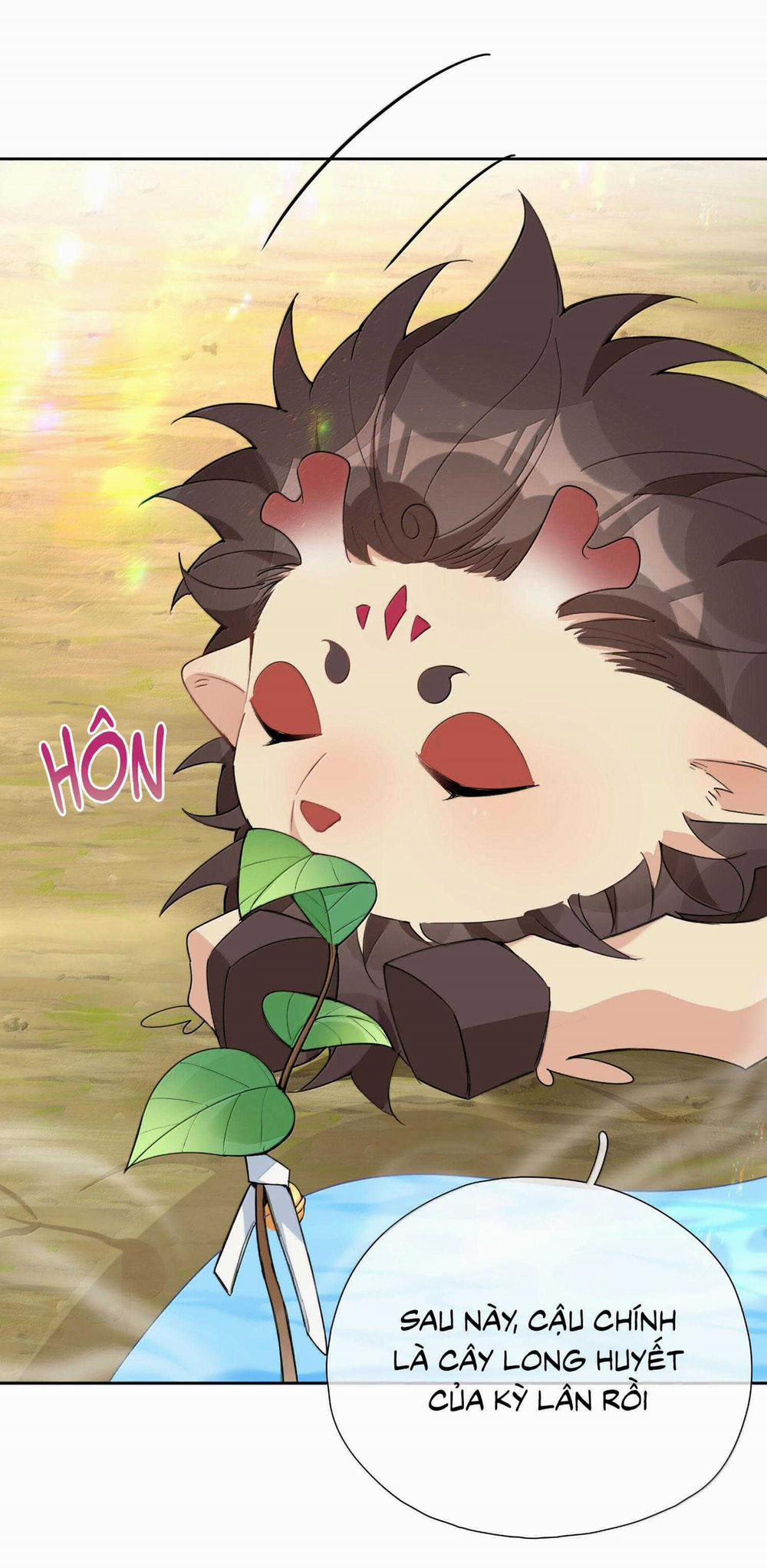 Trường Cấp Ba Sơn Hải 112 trang 16