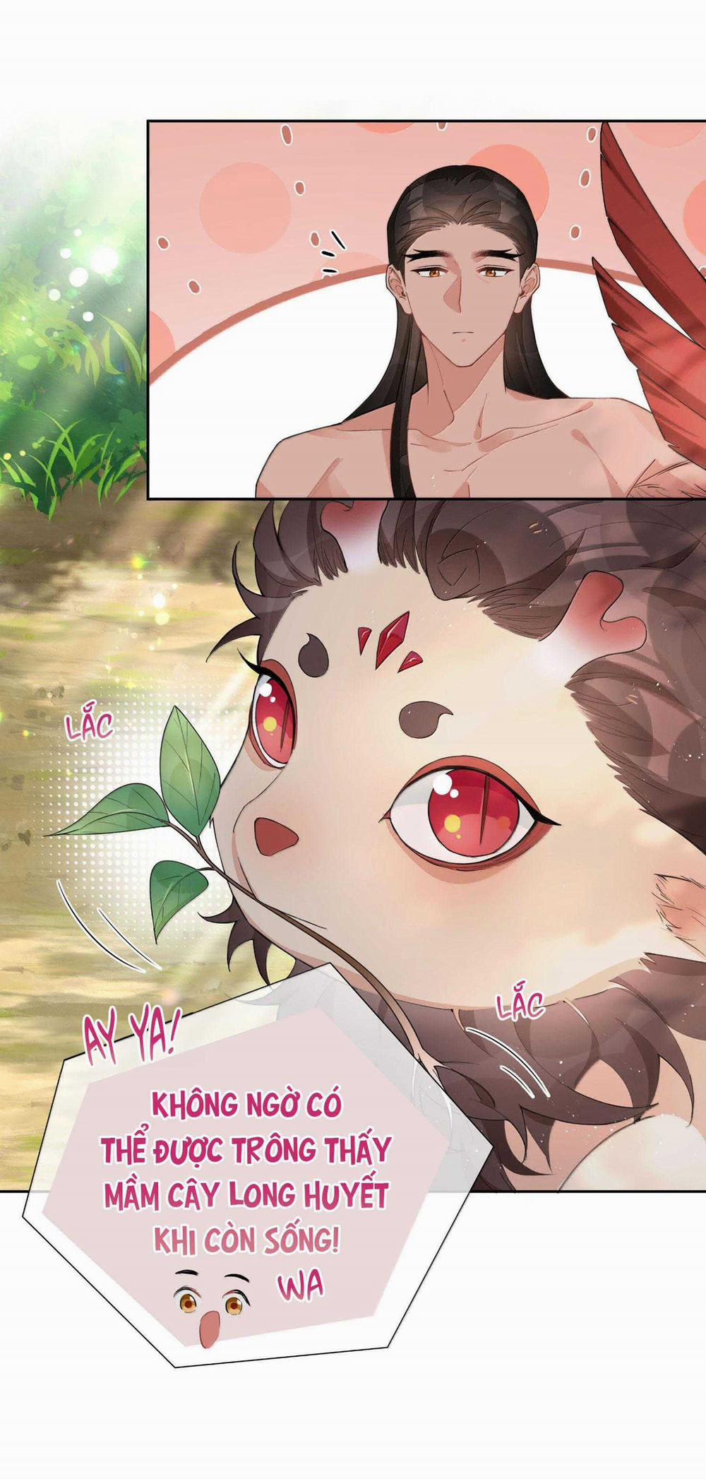 Trường Cấp Ba Sơn Hải 112 trang 7