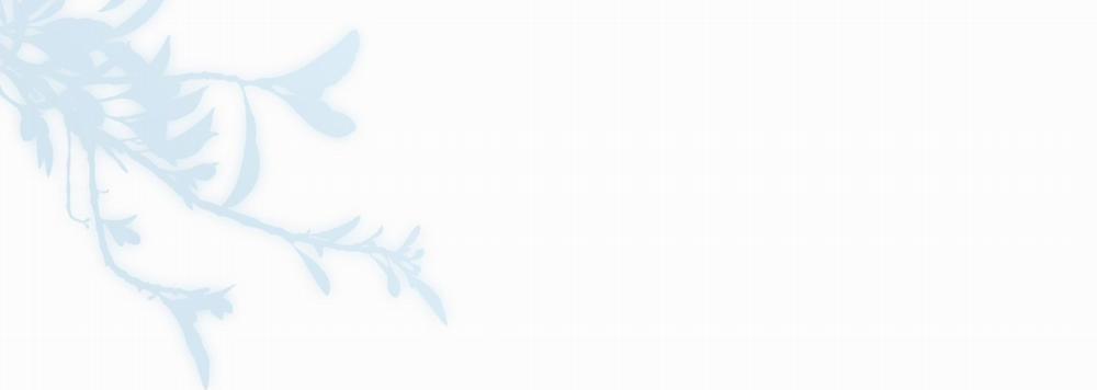 Trường Cấp Ba Sơn Hải 24 trang 47