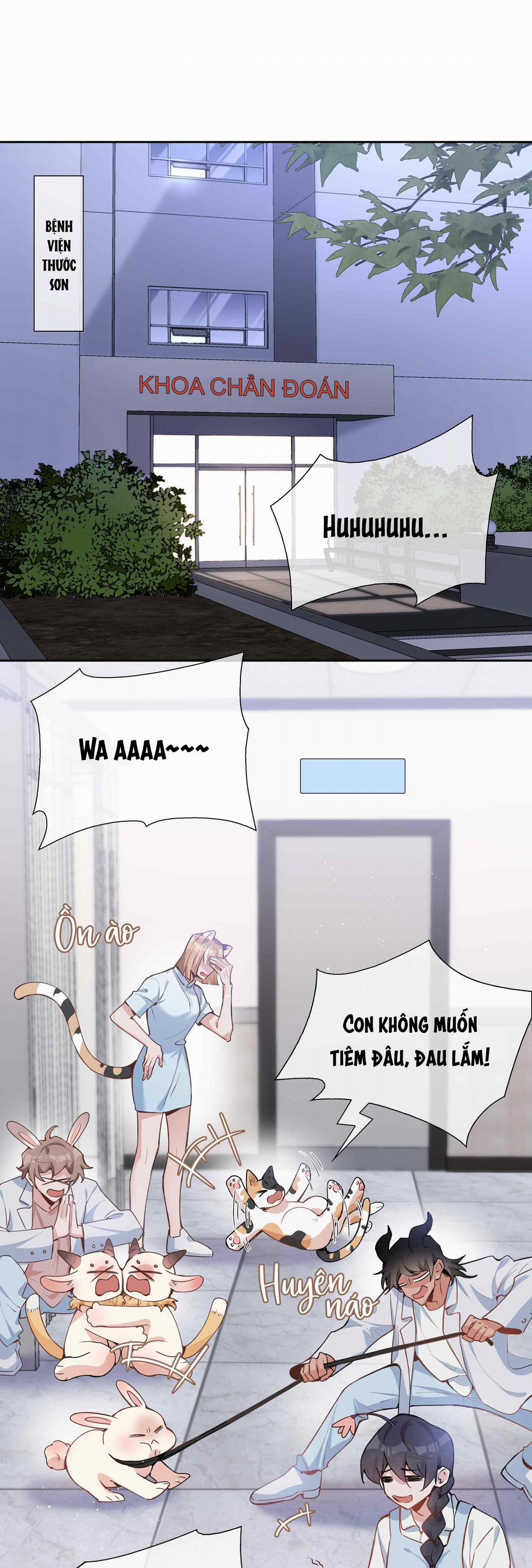 Trường Cấp Ba Sơn Hải 76 trang 8