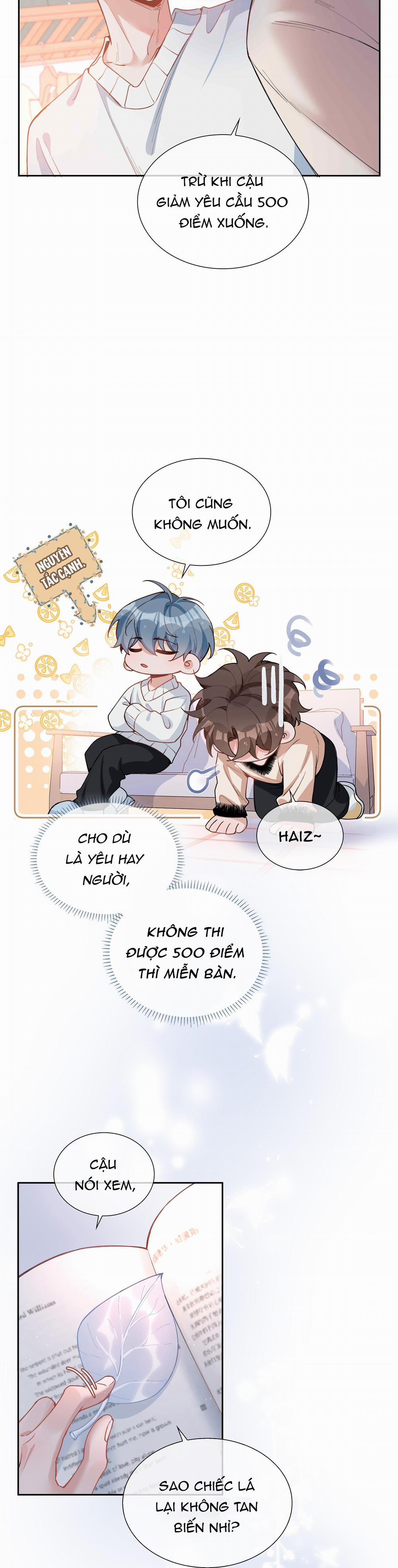 Trường Cấp Ba Sơn Hải 81 trang 5