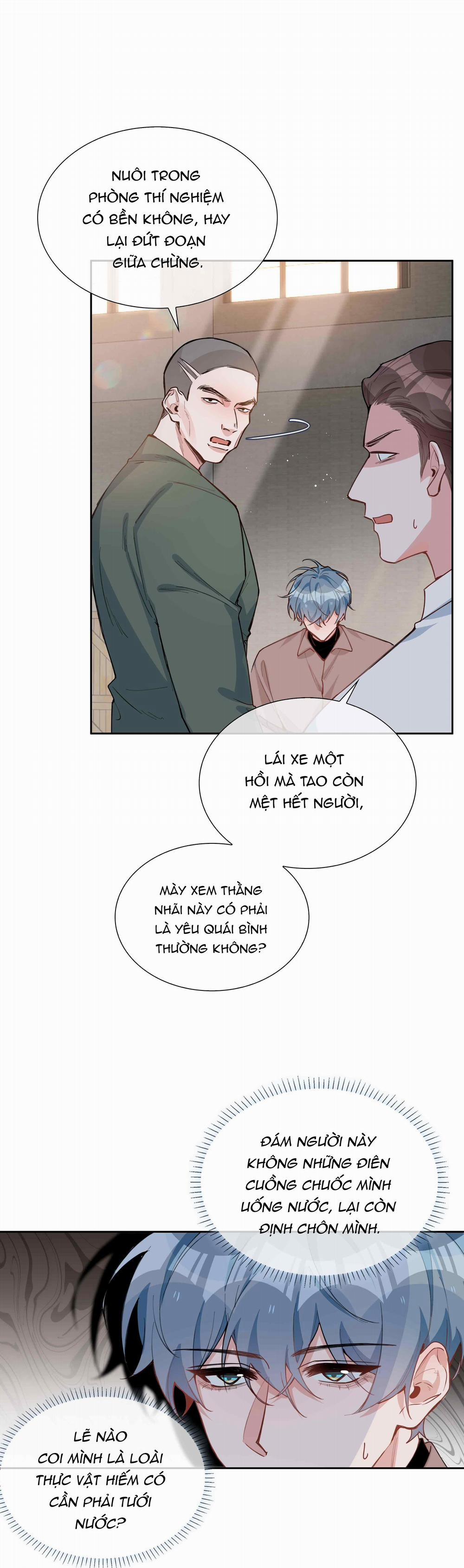 Trường Cấp Ba Sơn Hải 82 trang 11