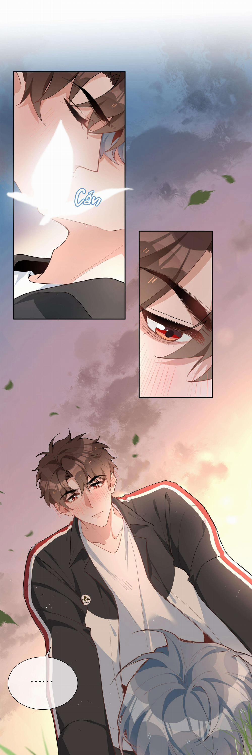 Trường Cấp Ba Sơn Hải 91 trang 4