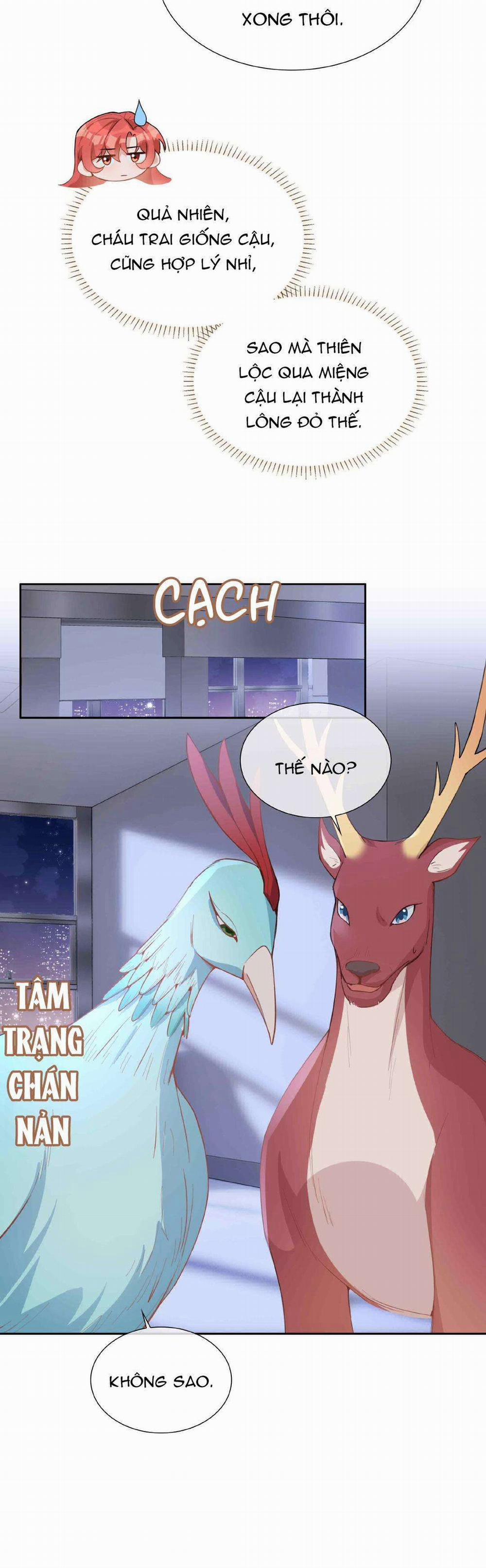 Trường Cấp Ba Sơn Hải 93 trang 11