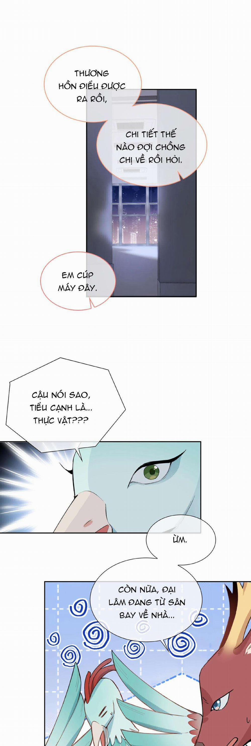 Trường Cấp Ba Sơn Hải 93 trang 12