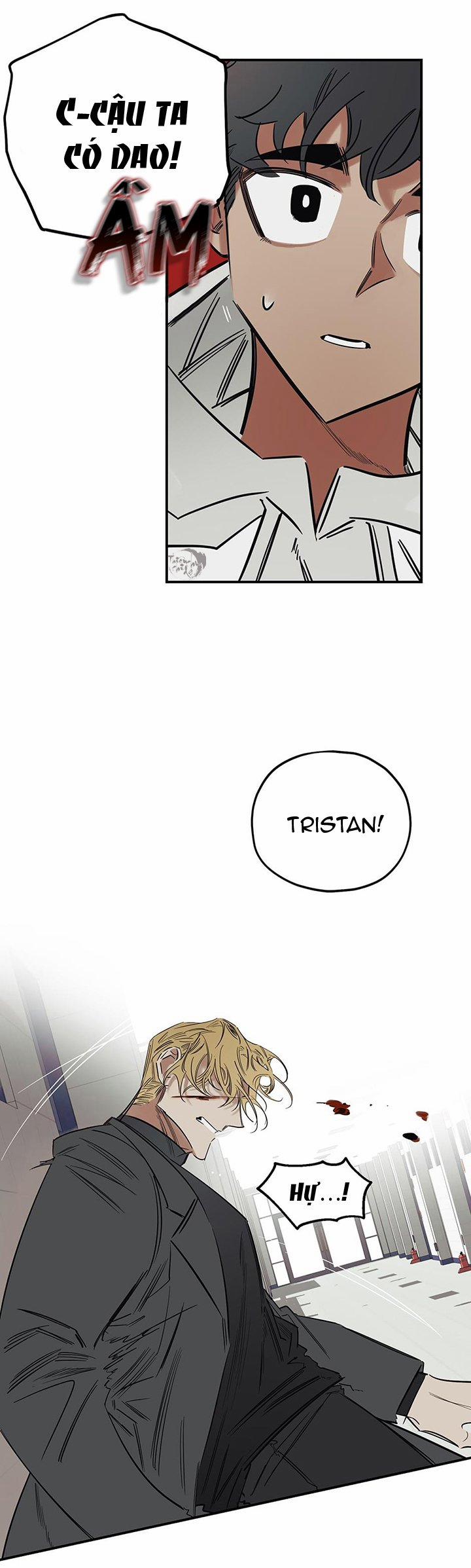 Truth Or Dare 15 trang 5