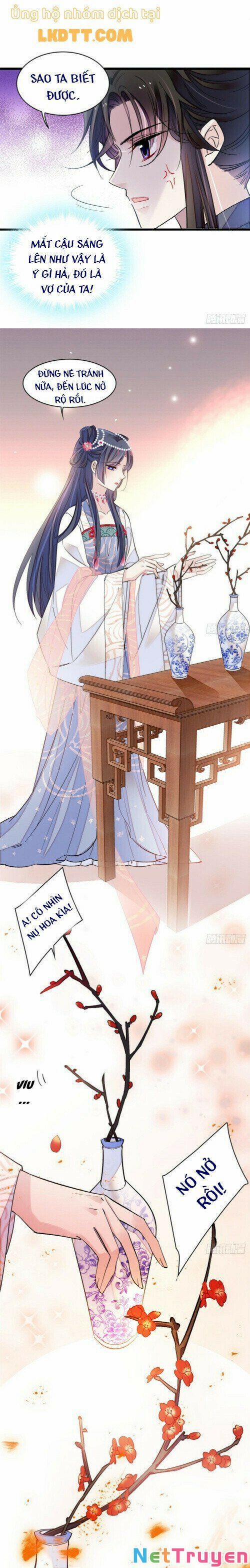 Tự Cẩm 12.5 trang 12