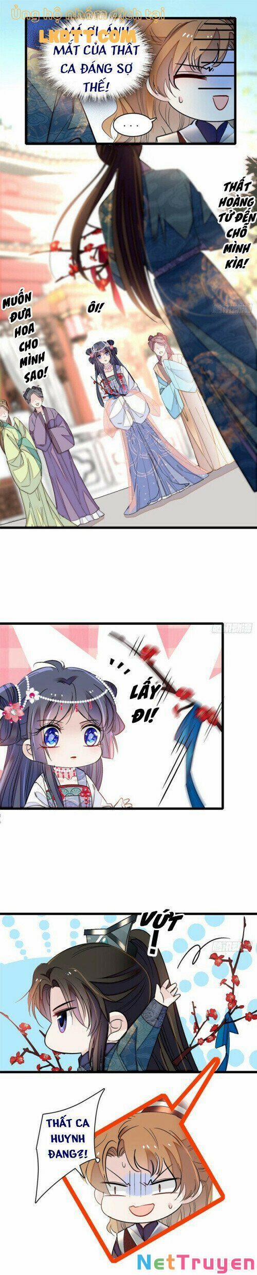 Tự Cẩm 12.6 trang 10