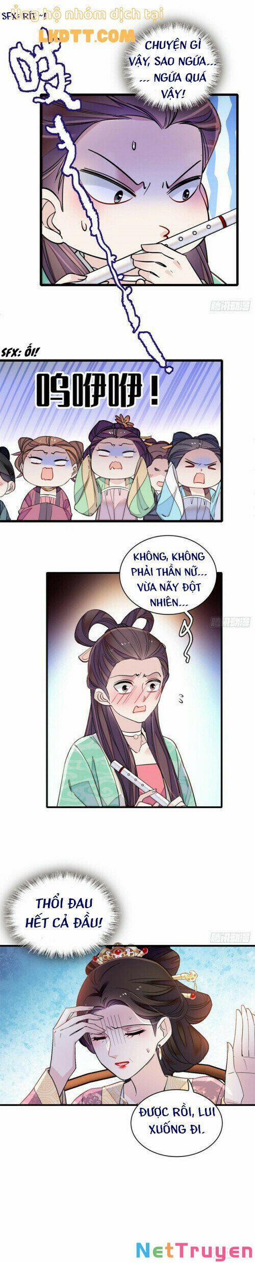 Tự Cẩm 12.6 trang 4