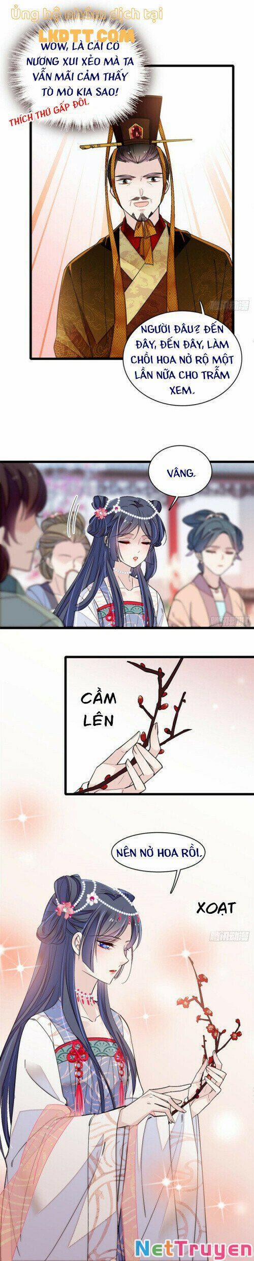 Tự Cẩm 12.7 trang 2