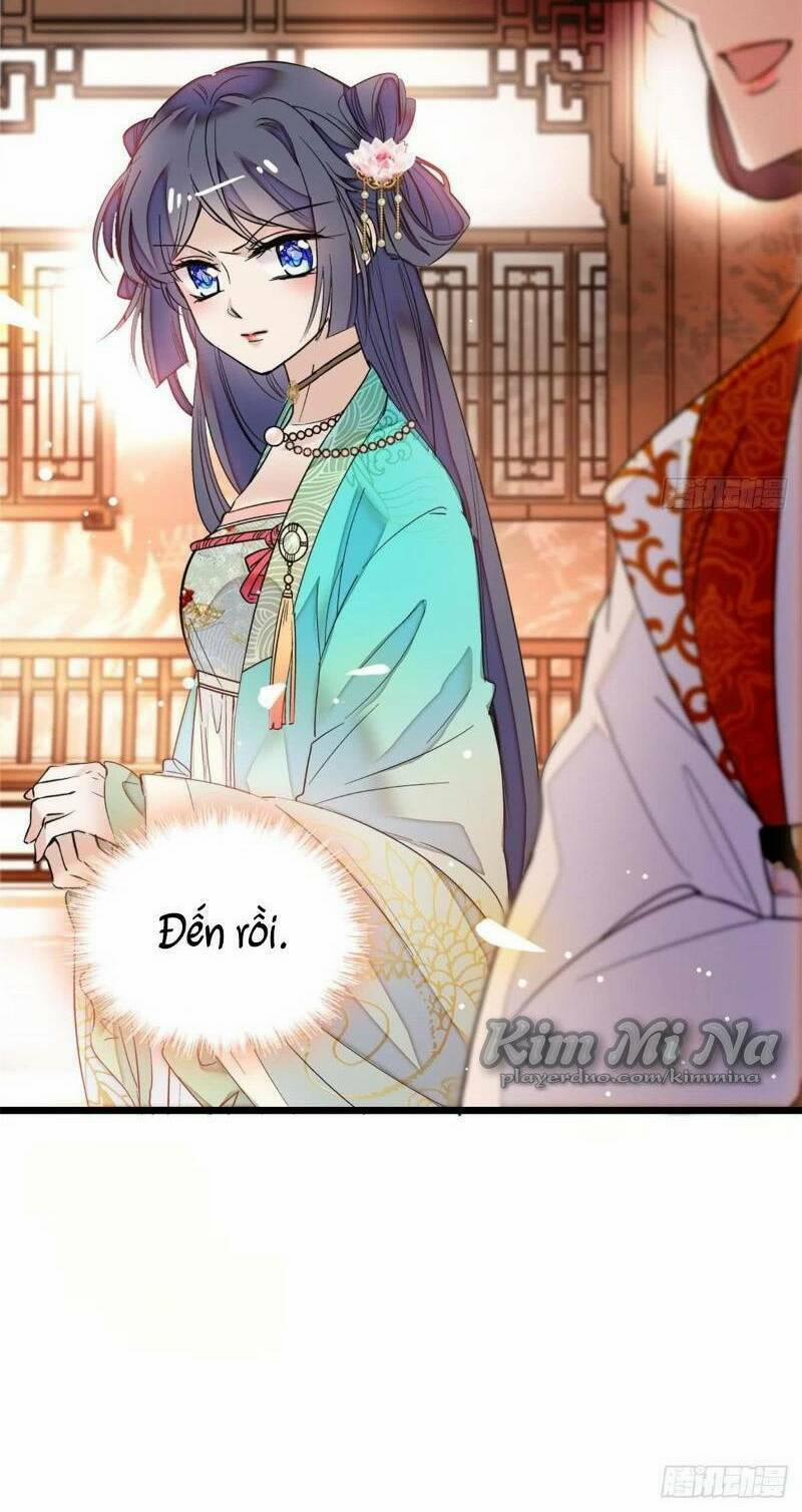 Tự Cẩm 13 trang 29