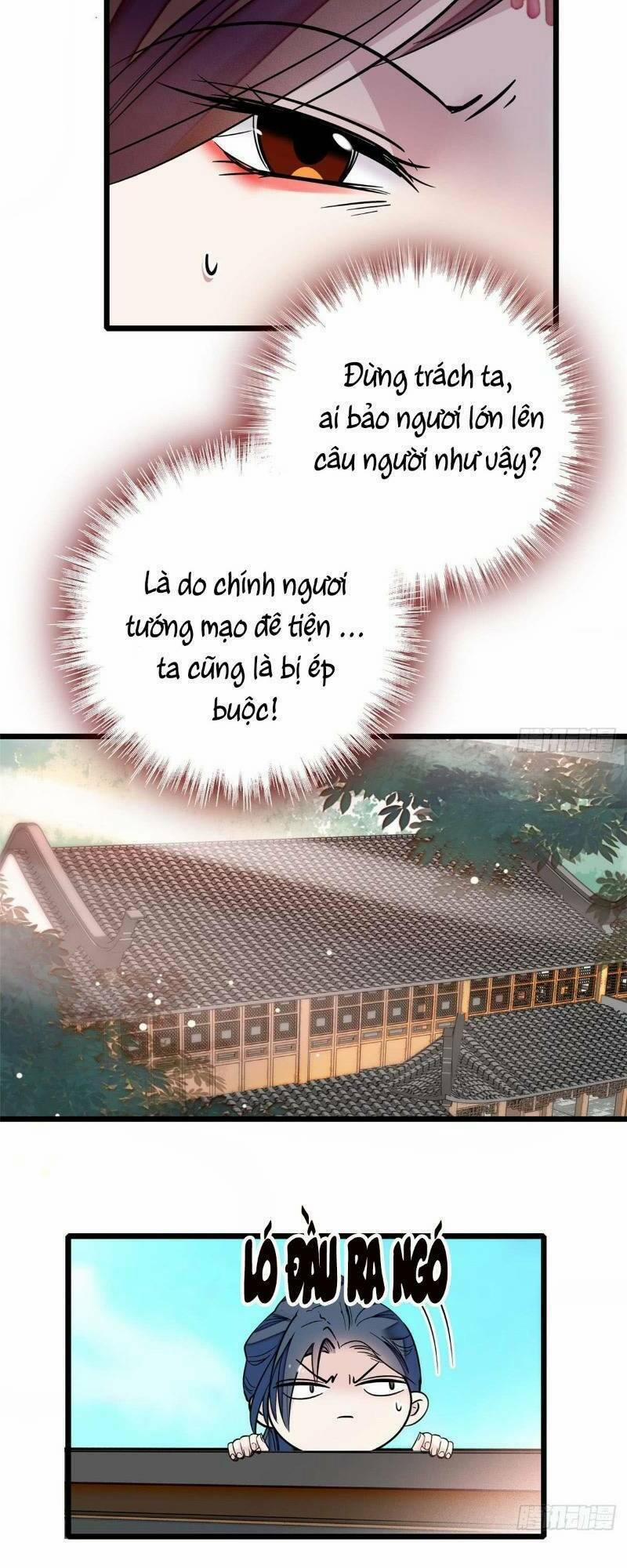 Tự Cẩm 14 trang 17