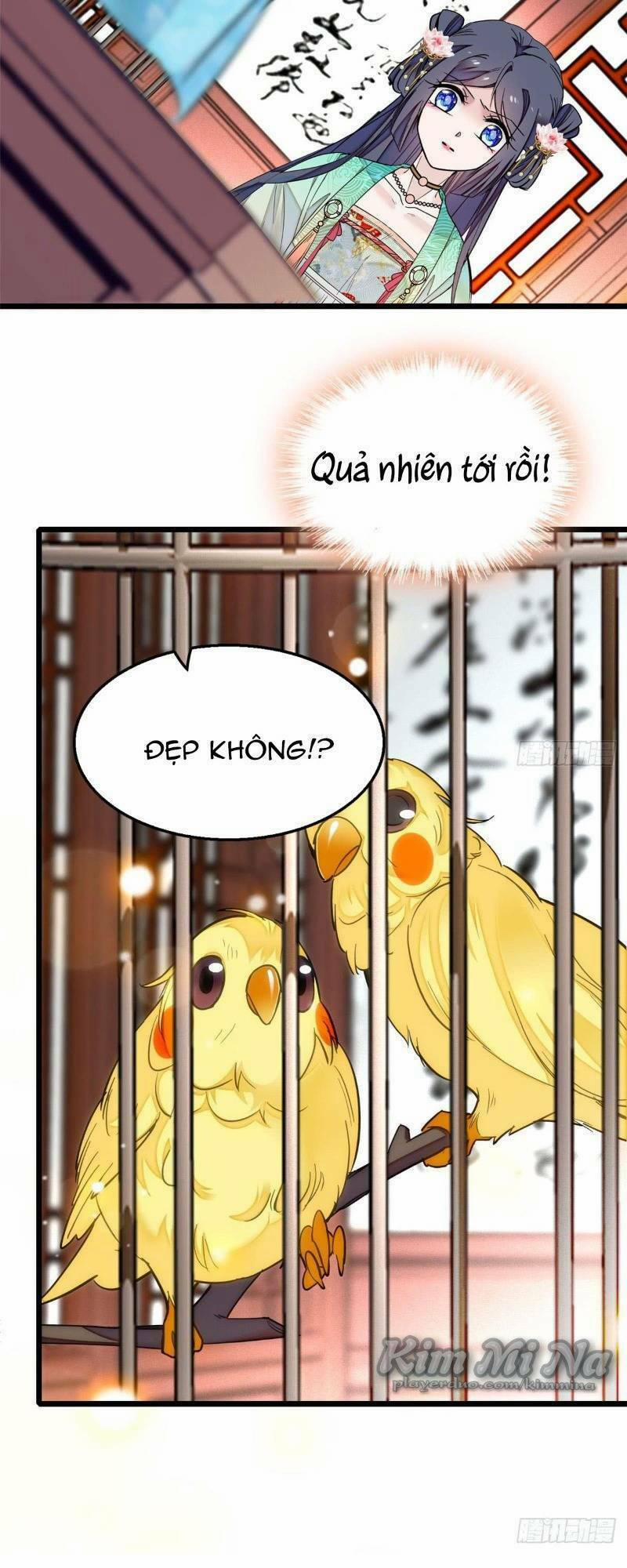 Tự Cẩm 14 trang 21