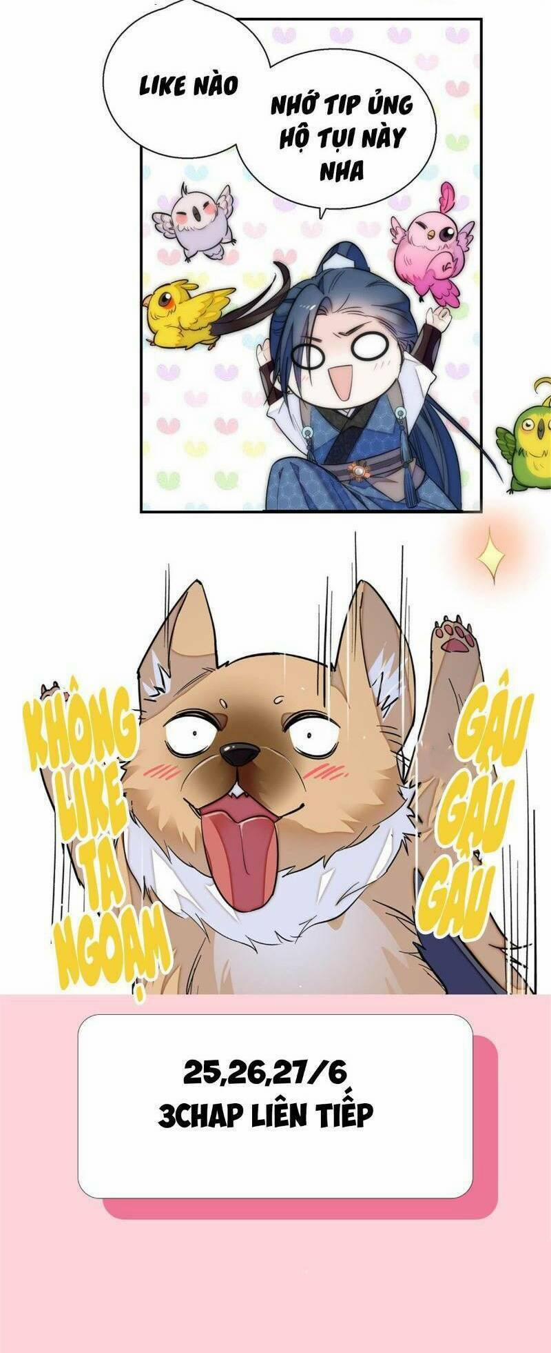 Tự Cẩm 19 trang 32