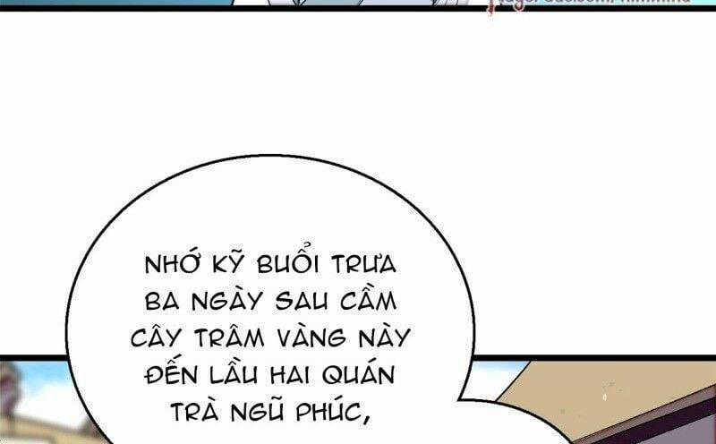 Tự Cẩm 29 trang 45