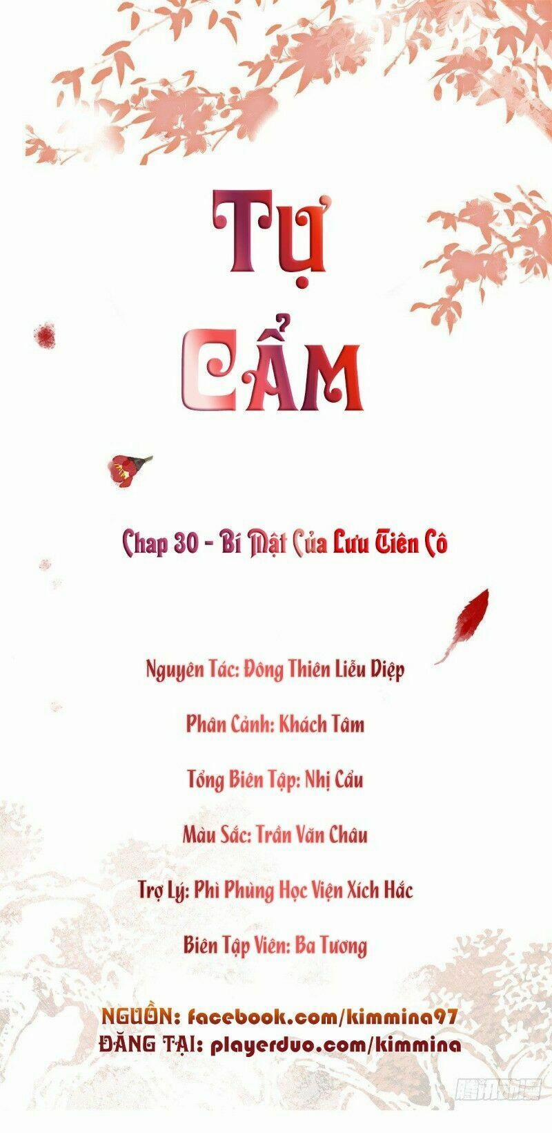 Tự Cẩm 30 trang 1