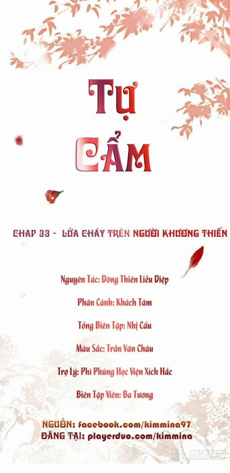 Tự Cẩm 33 trang 1