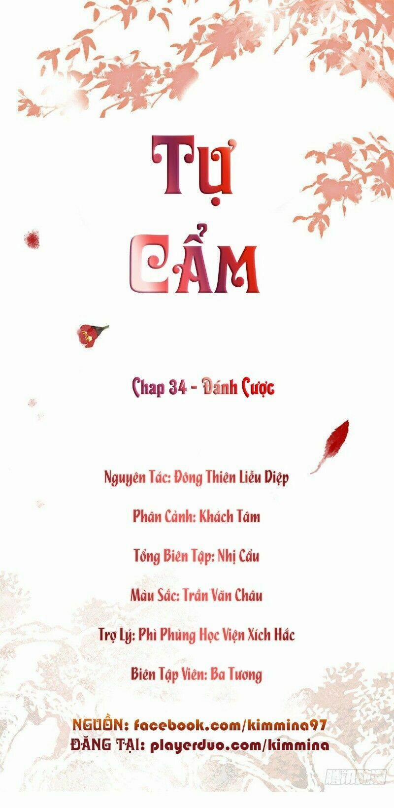 Tự Cẩm 34 trang 1