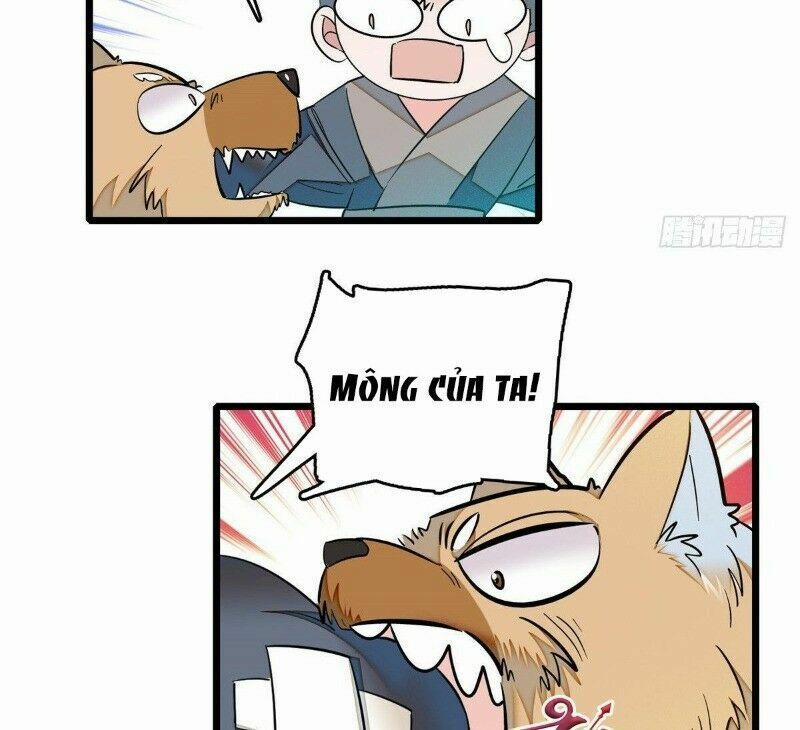 Tự Cẩm 35 trang 43