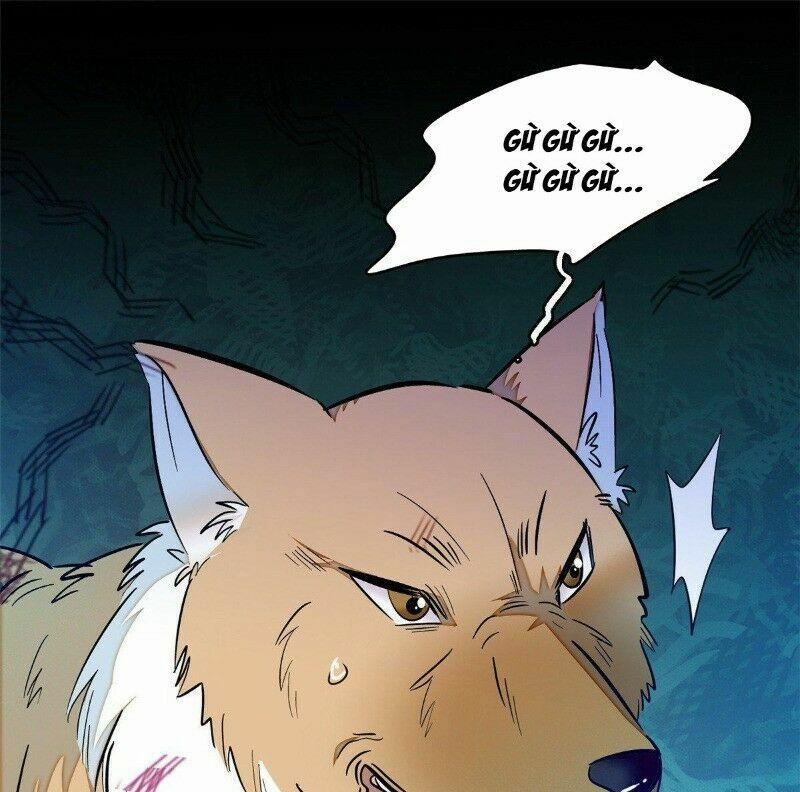 Tự Cẩm 35 trang 52