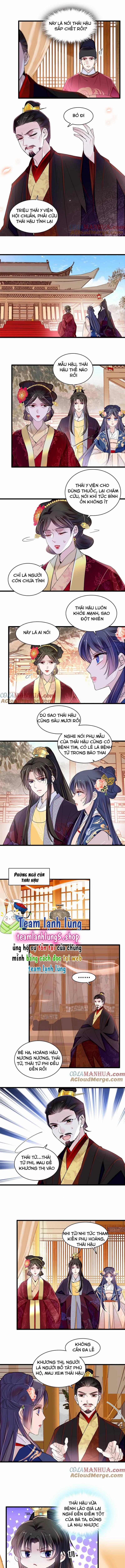 Tự Cẩm 373 trang 3