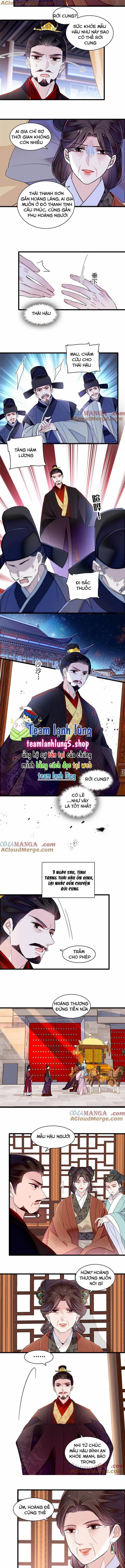 Tự Cẩm 374 trang 3