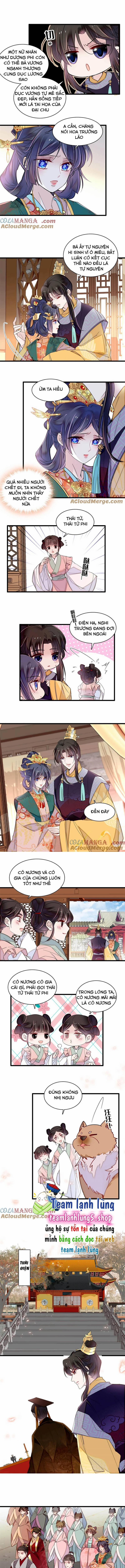 Tự Cẩm 375 trang 2