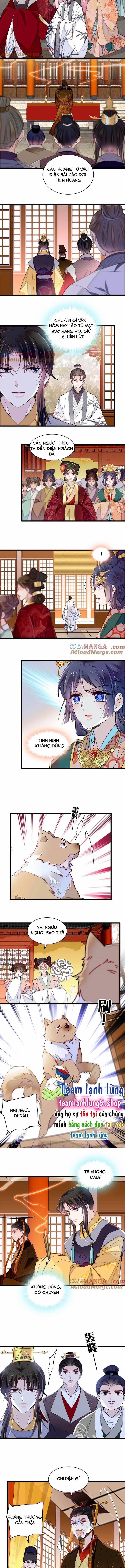 Tự Cẩm 375 trang 3