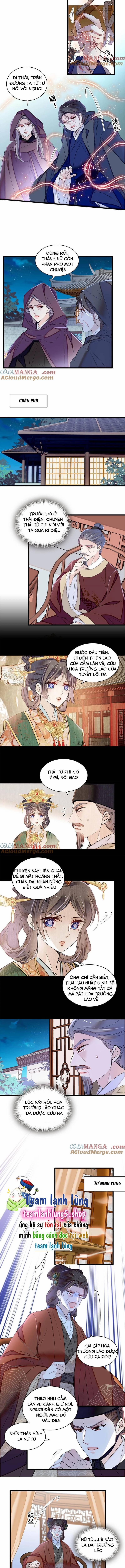 Tự Cẩm 378 trang 3