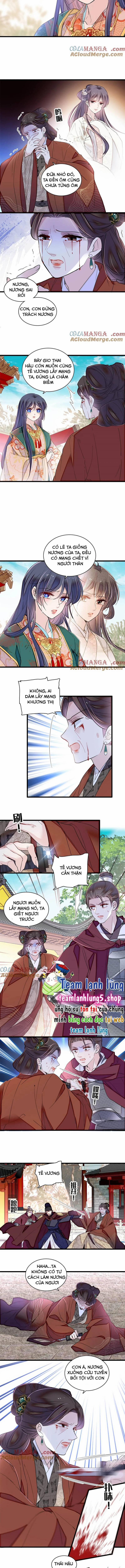 Tự Cẩm 383 trang 4