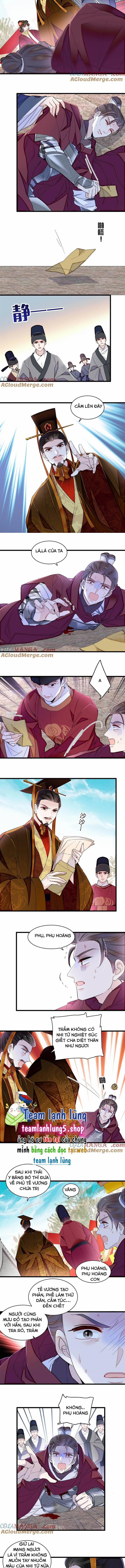 Tự Cẩm 384 trang 4