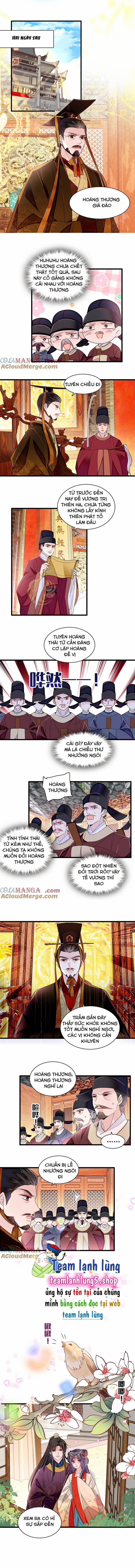 Tự Cẩm 385 trang 5