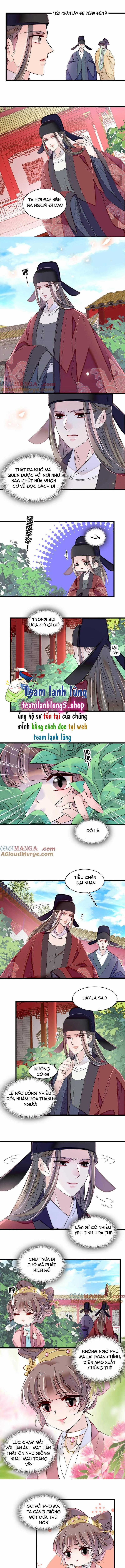 Tự Cẩm 389 trang 3