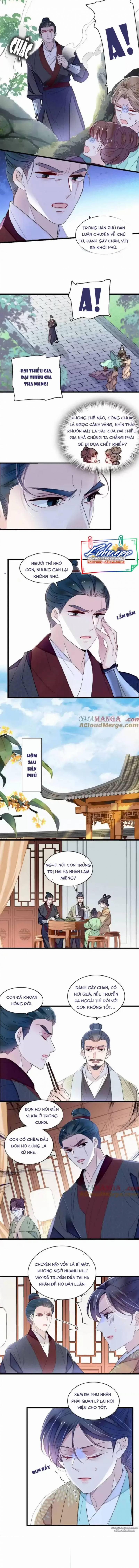 Tự Cẩm 395 trang 2