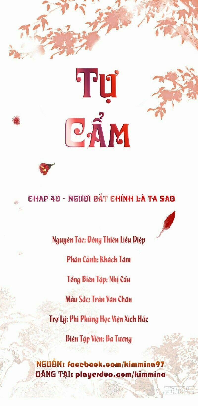 Tự Cẩm 40 trang 1