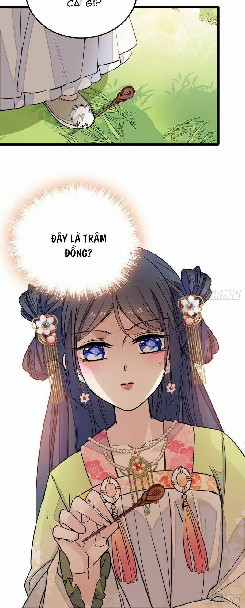 Tự Cẩm 44 trang 7