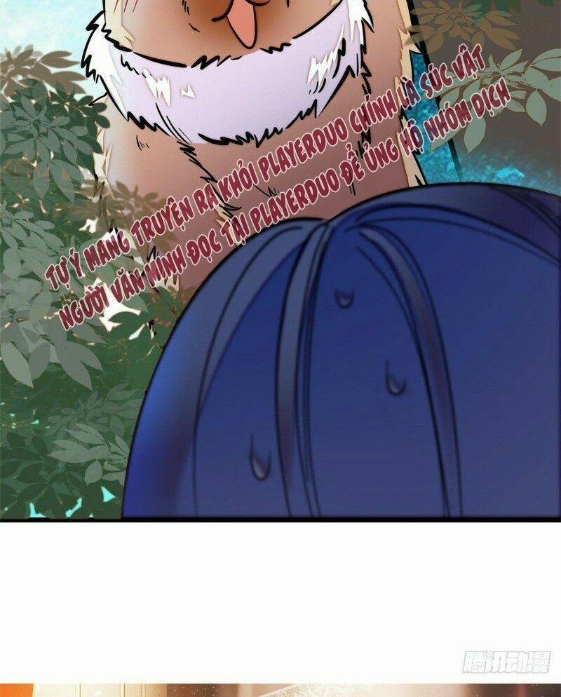 Tự Cẩm 46 trang 47