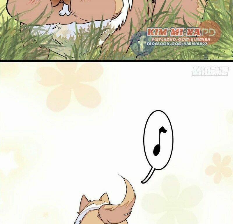 Tự Cẩm 48 trang 61