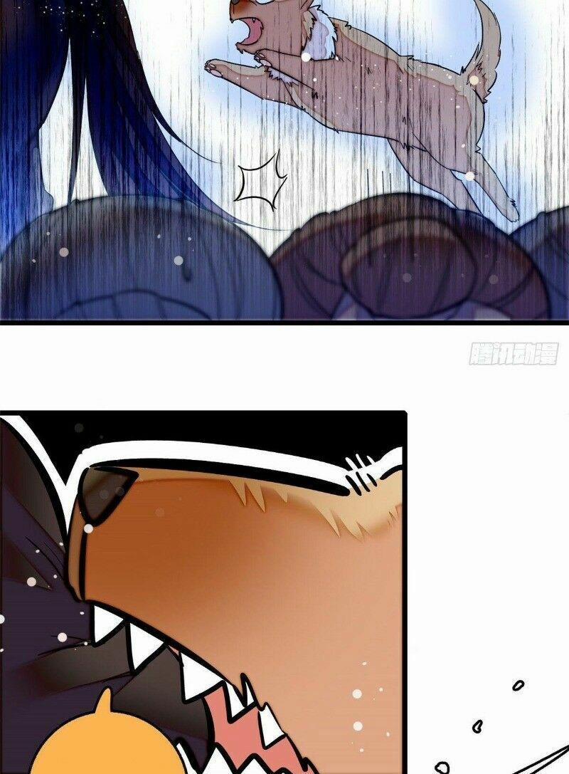 Tự Cẩm 49 trang 18