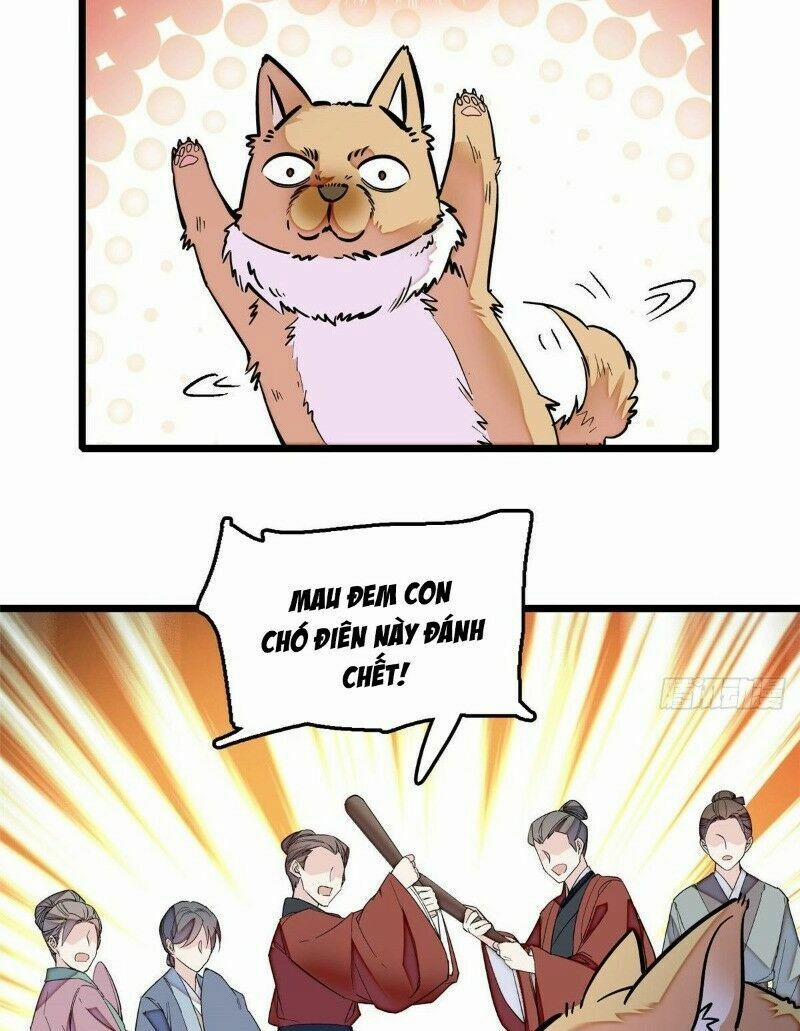 Tự Cẩm 49 trang 23