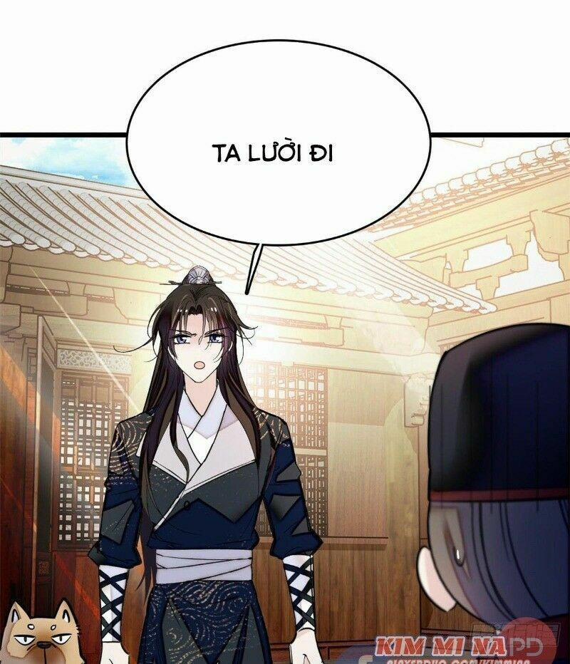 Tự Cẩm 50 trang 6
