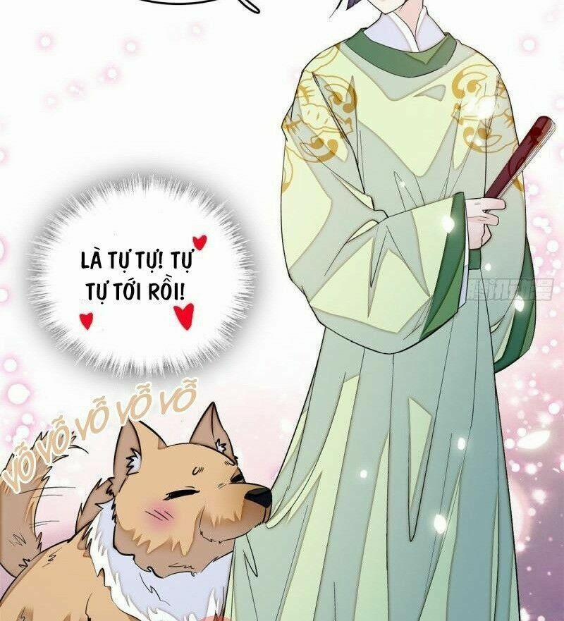 Tự Cẩm 51 trang 20