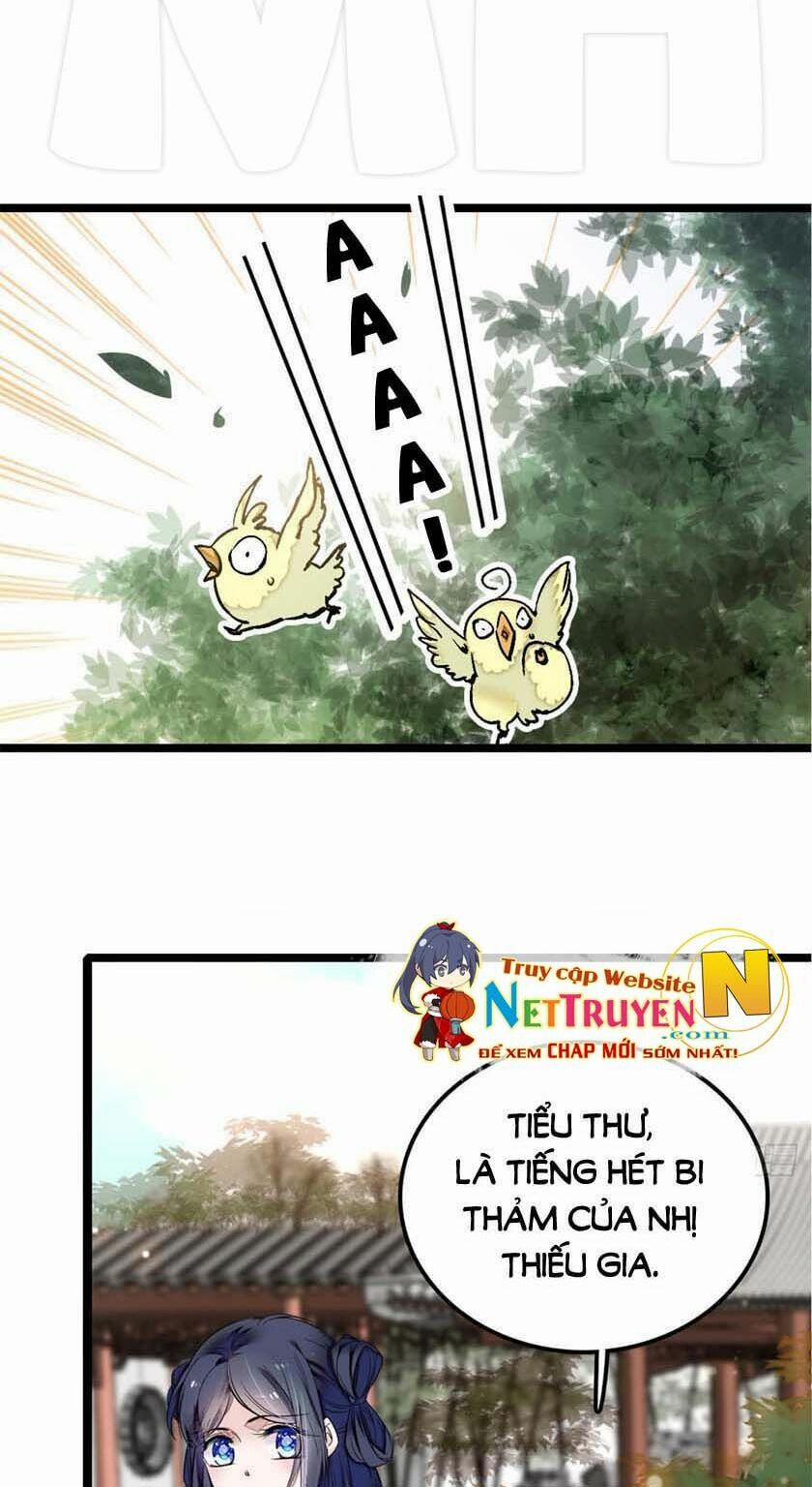 Tự Cẩm 7 trang 8