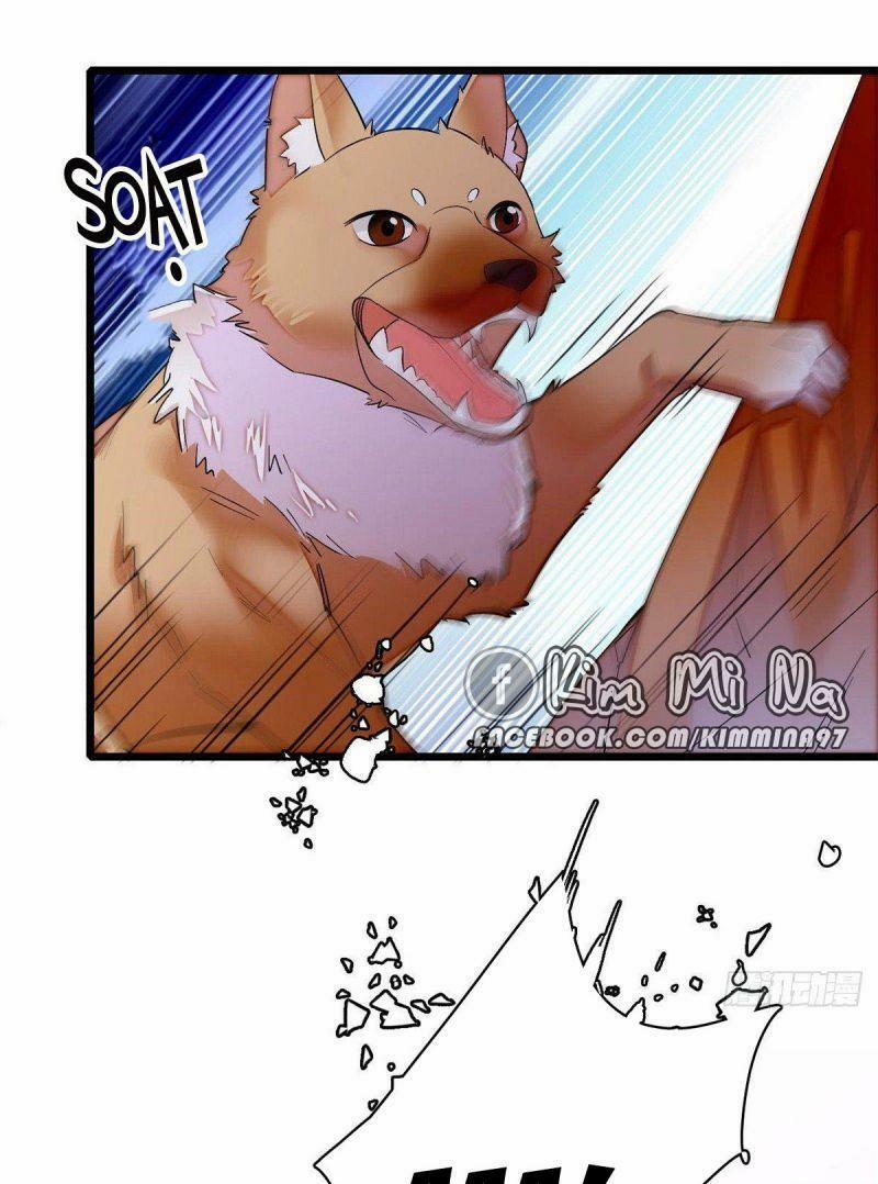 Tự Cẩm 74 trang 13