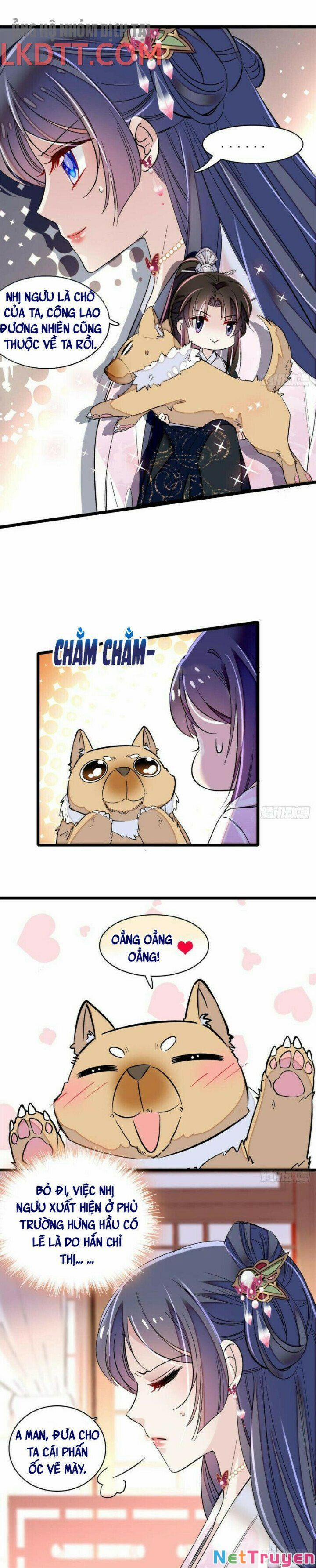 Tự Cẩm 76 trang 3